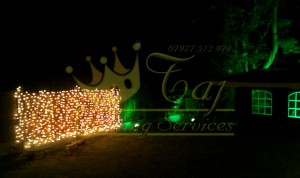 garden-fairy-lights    